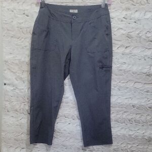 NWOT Ascend Women's Sz 8 Slate Gray Performance Hiking Ankle Pants, Gorpcore